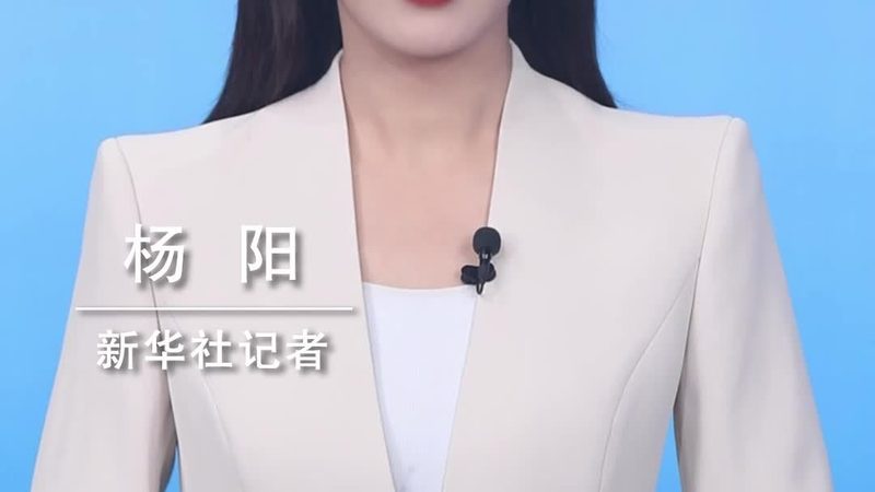 企业搜索数据库索引：揭秘其价值与选购要点
